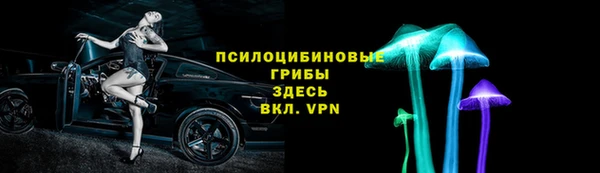 PSILOCYBIN Остров