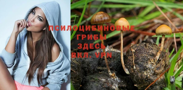 амф Абаза
