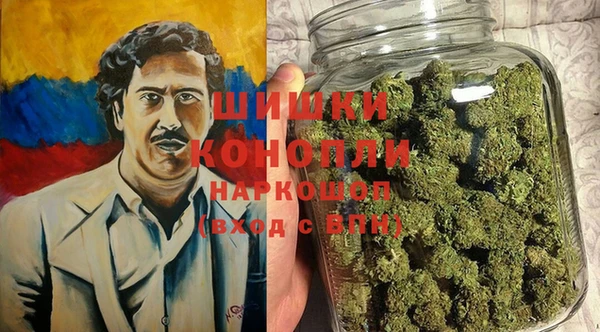 бошки Осинники