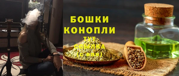 PSILOCYBIN Остров